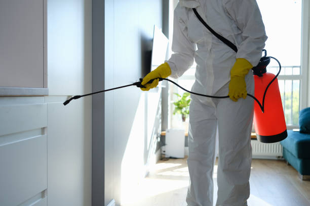 Best Emergency Mold Remediation in Bartonvle, IL
