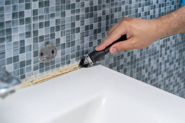 Best Mold Remediation for Schools in Bartonvle, IL